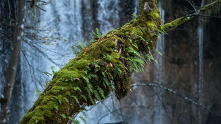 Boje jeseni na Plitvičkim jezerima