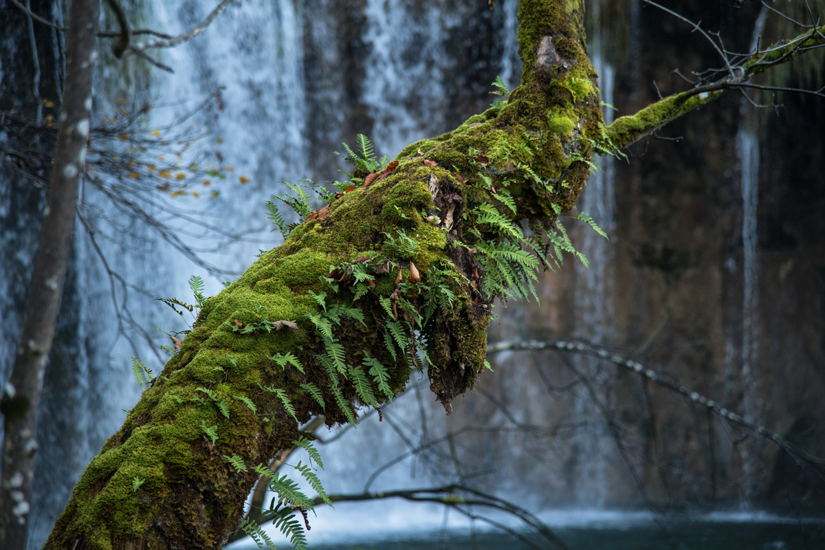 Boje jeseni na Plitvičkim jezerima