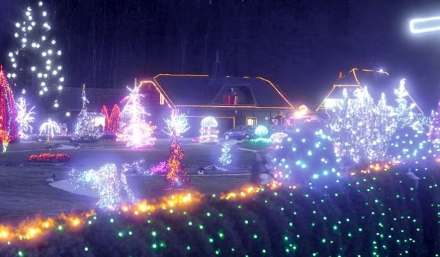 “Božićna priča” obitelji Salaj, foto: CROPIX