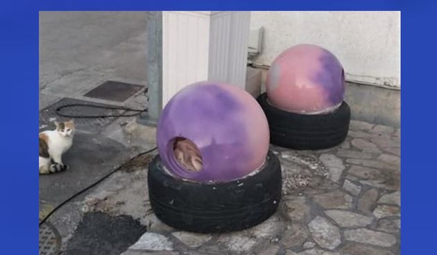 “Dolijao” vandal koji je na Pagu oštećivao i premještao kućice za mačke