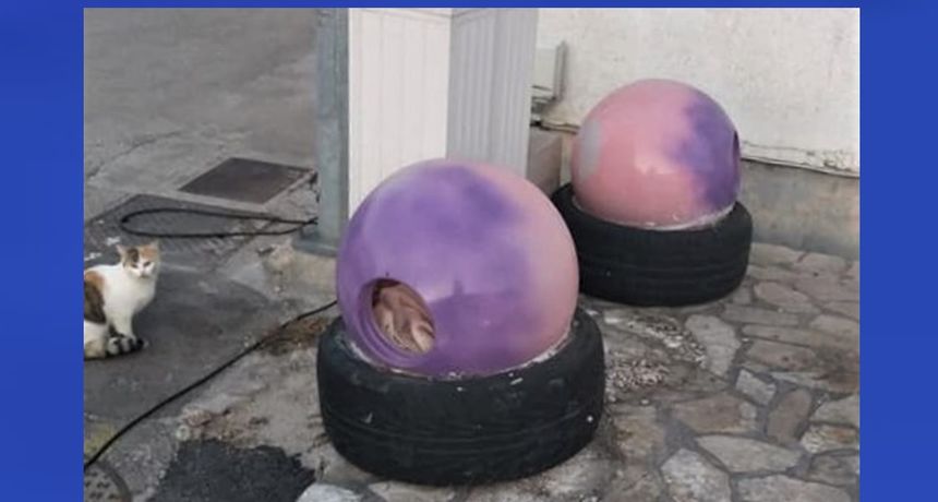 “Dolijao” vandal koji je na Pagu oštećivao i premještao kućice za mačke