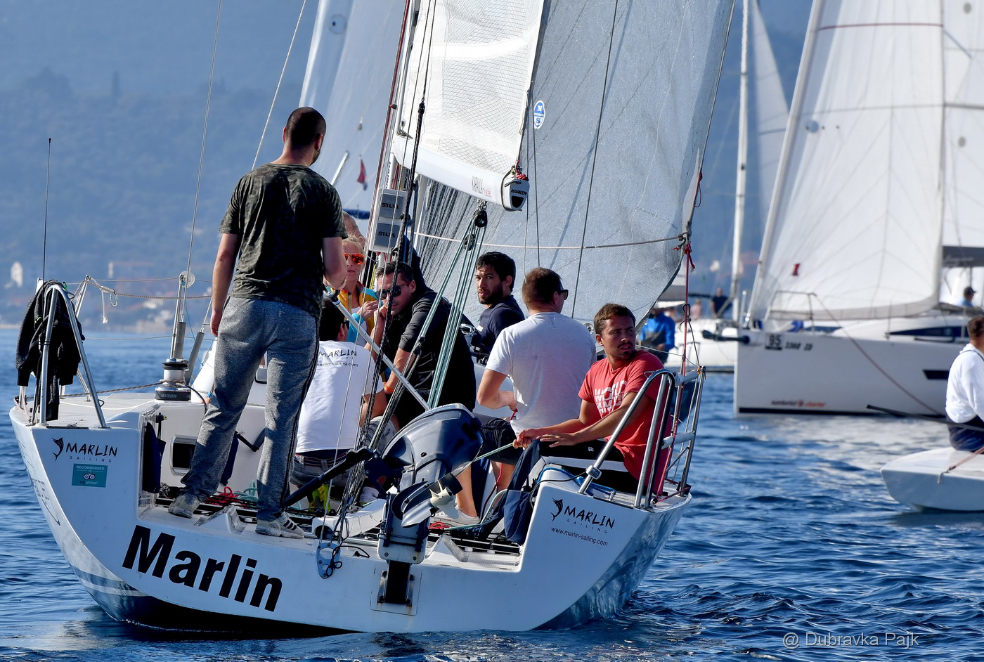 Sva lica “Zadarske koke” Sva lica “Zadarske koke”