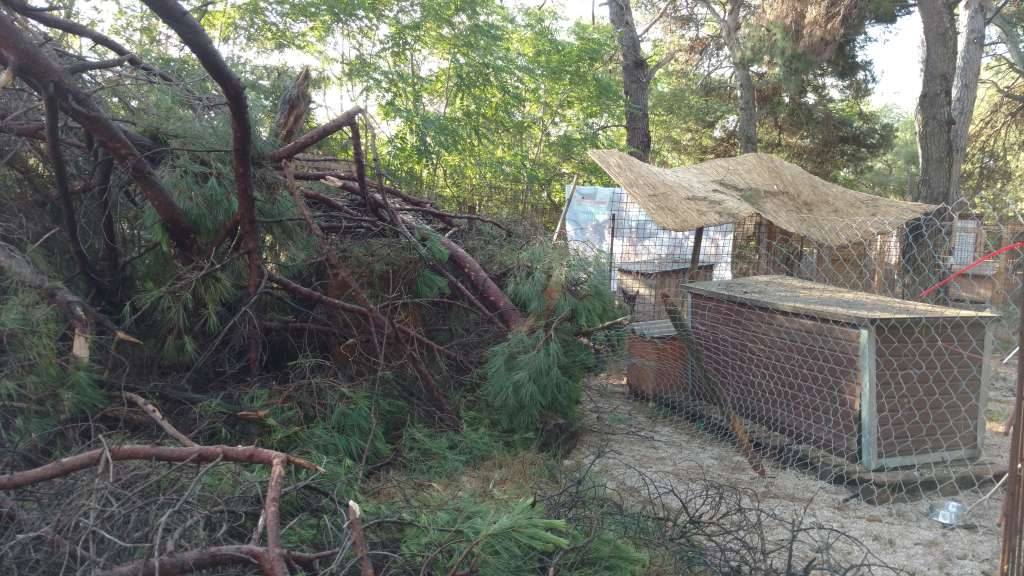 Nevera učinila veliku štetu i zadarskom azilu Nevera učinila veliku štetu i zadarskom azilu