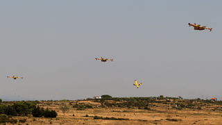 Zadar, Babindub, 230812.
Pozar u mjestu Babindub, kraj Zadra, u blizini aerodroma. Pozar je izbio medju kucama, na rubu borove sume kod vojnog aerodroma. Dio terena je miniran pa su u gasenju sudjelovali i kanaderi.
Foto: Jure Miskovic / CROPIX