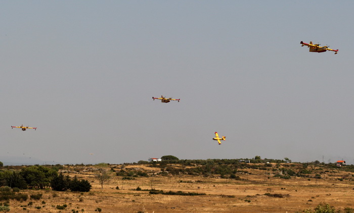 Zadar, Babindub, 230812.
Pozar u mjestu Babindub, kraj Zadra, u blizini aerodroma. Pozar je izbio medju kucama, na rubu borove sume kod vojnog aerodroma. Dio terena je miniran pa su u gasenju sudjelovali i kanaderi.
Foto: Jure Miskovic / CROPIX