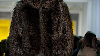 Milan Fashion Week: Just Cavalli jesen 2010 (Coutorture.com)