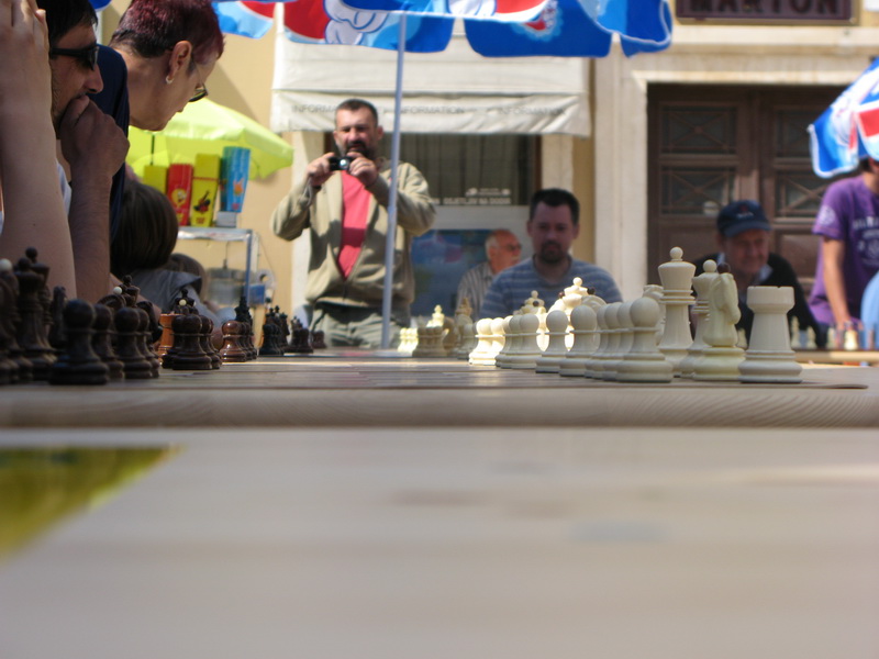 Saša Martinović – 1 protiv 50 Saša Martinović – 1 protiv 50