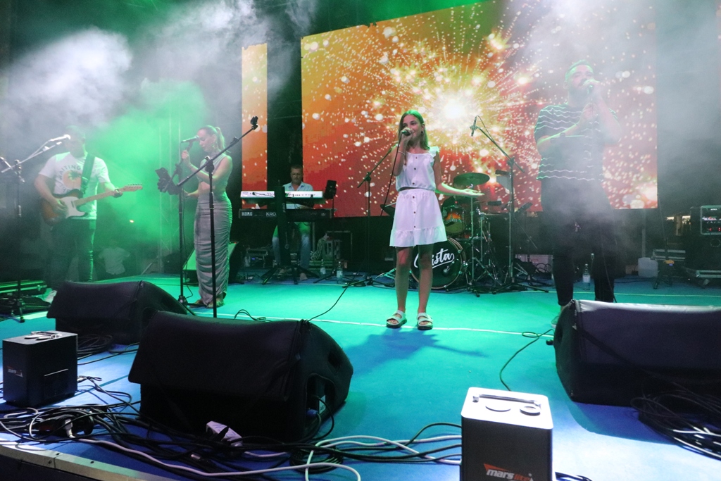 Vir fest 2024. Vir fest 2024.