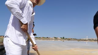 Danas je u Ninu održana berba Cvijeta soli u kojoj su sudjelovali Mate Janković, poznati hrvatski chef, Damir Oštrić, direktor Solane Nin i Marija Dejanović, direktorica Turističke zajednice grada Nina