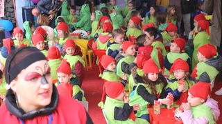 Virski Karnevalić 2017.