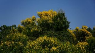 Nedjeljnja šetnja od Dikla do Pinije, Foto: Mladen Radolović Mrlja Nedjeljnja šetnja od Dikla do Pinije, Foto: Mladen Radolović Mrlja