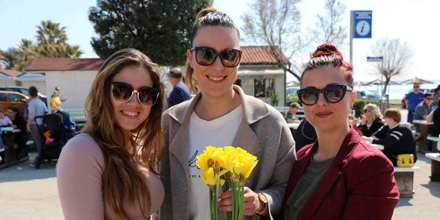 Dan narcisa Dan narcisa