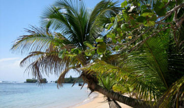 Karibi (Foto: Business.hr)