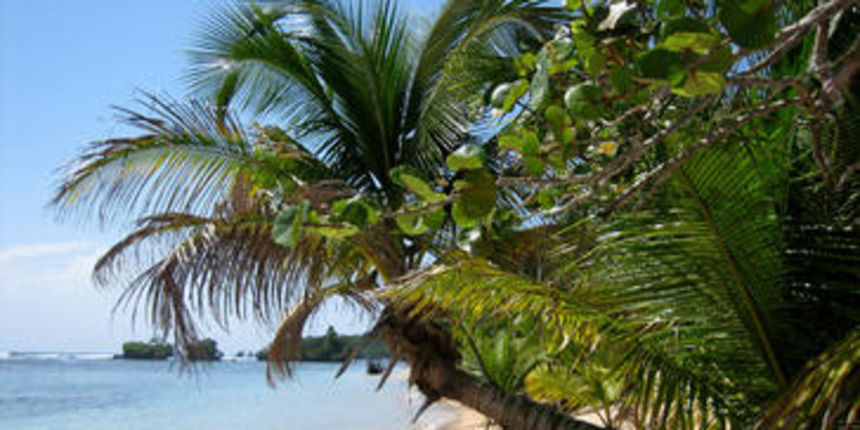 Karibi (Foto: Business.hr)