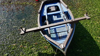 Zimska oseka u Sukošanu