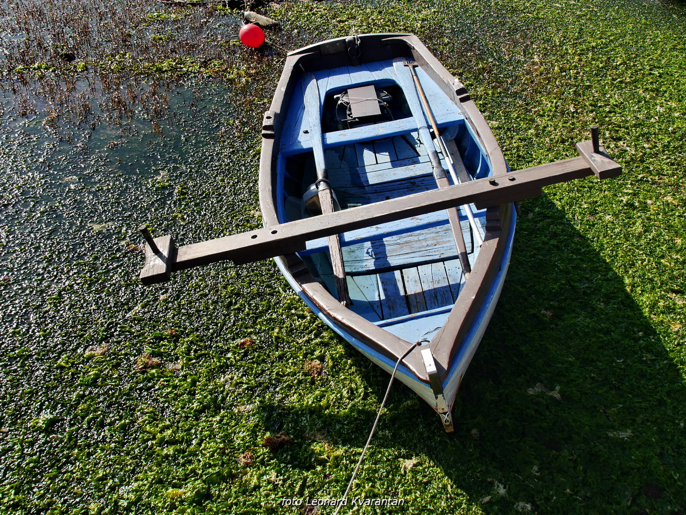 Zimska oseka u Sukošanu