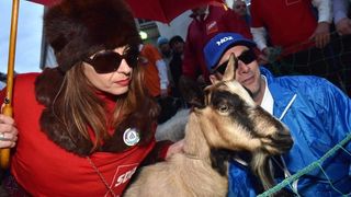 Poznata zadarska skupina Bleke i Konji na karnevalskoj povorci pojavila se sa stadom ovaca koje su doveli na sredisnji gradski trg. Clanovi skupine bili su obuceni u majice hrvatskih politickih stranaka koje su medjusobno izmjenjivali uz domoljubne pjesme