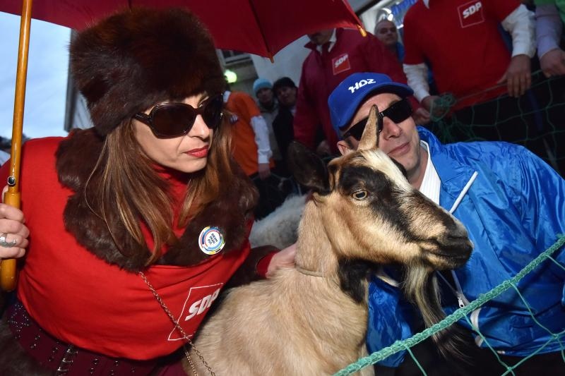 Poznata zadarska skupina Bleke i Konji na karnevalskoj povorci pojavila se sa stadom ovaca koje su doveli na sredisnji gradski trg. Clanovi skupine bili su obuceni u majice hrvatskih politickih stranaka koje su medjusobno izmjenjivali uz domoljubne pjesme