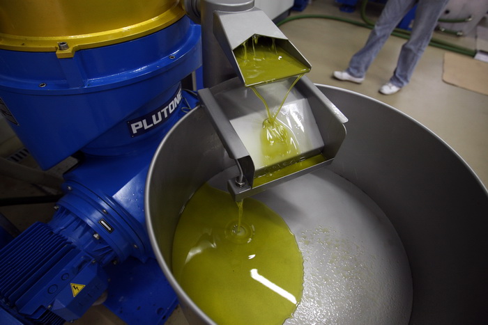 Zadar, 051112.
Uljare na zadarskom podrucju ubrzano preradjuju masline u ulje, ali prvi podaci govore da je ove godine randman izuzetno slab zbog velike suse u Dalmaciji. Detalj iz Uljare Zadar na Novom Bokanjcu u Zadru.
Foto: Jure Miskovic / CROPIX Zadar, 051112.
Uljare na zadarskom podrucju ubrzano preradjuju masline u ulje, ali prvi podaci govore da je ove godine randman izuzetno slab zbog velike suse u Dalmaciji. Detalj iz Uljare Zadar na Novom Bokanjcu u Zadru.
Foto: Jure Miskovic / CROPIX