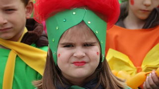 Virski karnevalić 2016. Virski karnevalić 2016.