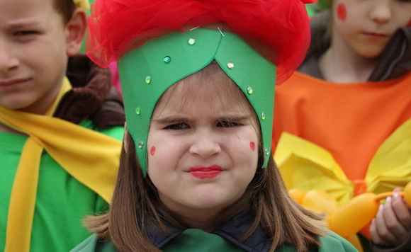 Virski karnevalić 2016. Virski karnevalić 2016.