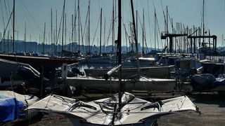 “Zadarska koka”: Regata za sve generacije snimljena iz “koke” “Zadarska koka”: Regata za sve generacije snimljena iz “koke”