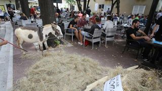 Građani od podneva uživaju u Varoškoj fešti, foto: Filip Brala/PIXSELL Građani od podneva uživaju u Varoškoj fešti, foto: Filip Brala/PIXSELL