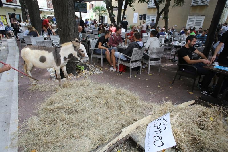 Građani od podneva uživaju u Varoškoj fešti, foto: Filip Brala/PIXSELL Građani od podneva uživaju u Varoškoj fešti, foto: Filip Brala/PIXSELL