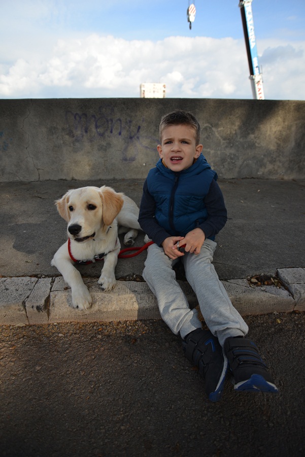 Transformeri stigli u Zadar