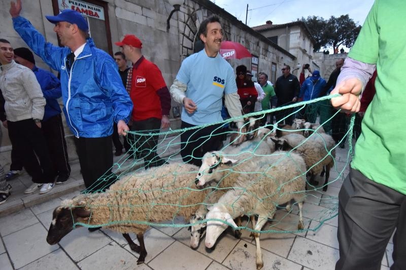 Poznata zadarska skupina Bleke i Konji na karnevalskoj povorci pojavila se sa stadom ovaca koje su doveli na sredisnji gradski trg. Clanovi skupine bili su obuceni u majice hrvatskih politickih stranaka koje su medjusobno izmjenjivali uz domoljubne pjesme