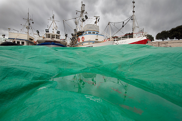 Ribarice u zadarskoj luci, Foto: Leo Banić