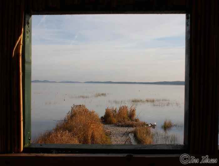 Đir uz Vransko jezero, Foto: Iva Perinić Đir uz Vransko jezero, Foto: Iva Perinić