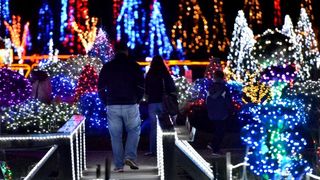 24.12.2014., Cazma, Grabovnica – Obitelj Salaj svoje imanje ukrasila je s milijun i petsto tisuca lampica povodom Bozicnih i Noogodisnjih blagdana. Bozicnu pricu svake godine posjecuju mnogobrojni turisti. Photo: Marko Prpic/PIXSELL