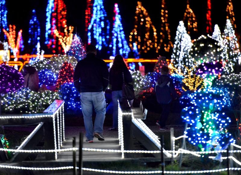 24.12.2014., Cazma, Grabovnica – Obitelj Salaj svoje imanje ukrasila je s milijun i petsto tisuca lampica povodom Bozicnih i Noogodisnjih blagdana. Bozicnu pricu svake godine posjecuju mnogobrojni turisti. Photo: Marko Prpic/PIXSELL