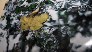 Izlozba 4. Natjecaja digitalne fotografije portala RivaOn.com, Foto: Antonela Vitlov