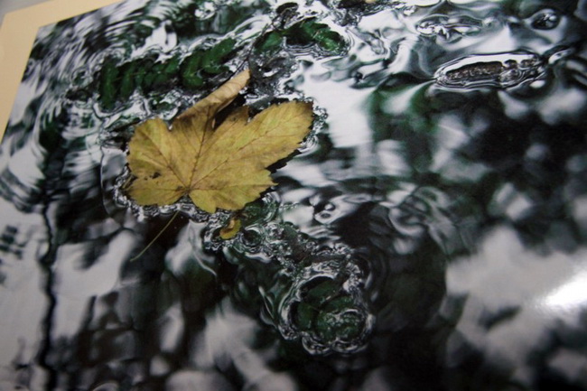 Izlozba 4. Natjecaja digitalne fotografije portala RivaOn.com, Foto: Antonela Vitlov