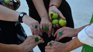 U Muzeju antičkog stakla na originalan način najavljen 9. Festival smokava. Foto: Iva Perinčić U Muzeju antičkog stakla na originalan način najavljen 9. Festival smokava. Foto: Iva Perinčić