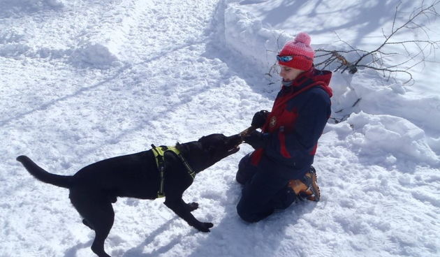 Bongo i HGSS Zadar na Vogelu