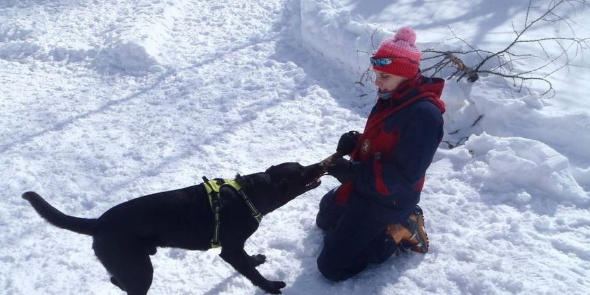 Bongo i HGSS Zadar na Vogelu
