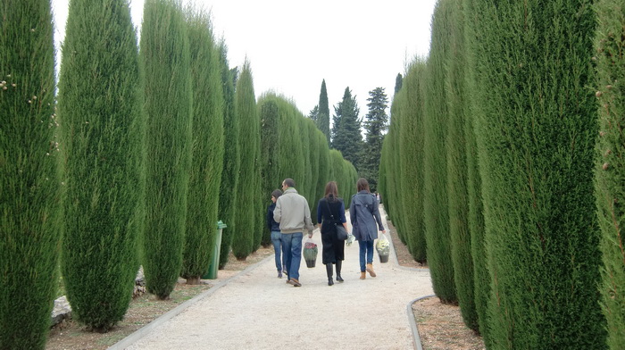 Usprkos jakom jugu gradsko groblje u Zadru danas je zasjalo toplim bojama cvijeca i svijeca kojima su gradjani ukrasili posljednja pocivalista svojih najdrazih, Foto: Mladen Malik Usprkos jakom jugu gradsko groblje u Zadru danas je zasjalo toplim bojama cvijeca i svijeca kojima su gradjani ukrasili posljednja pocivalista svojih najdrazih, Foto: Mladen Malik