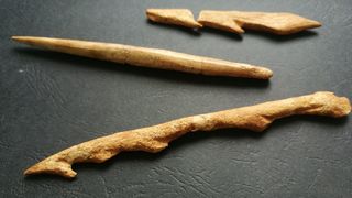 Paleolitička Venera pronađena u pećini Vlakno na Dugom otoku Paleolitička Venera pronađena u pećini Vlakno na Dugom otoku