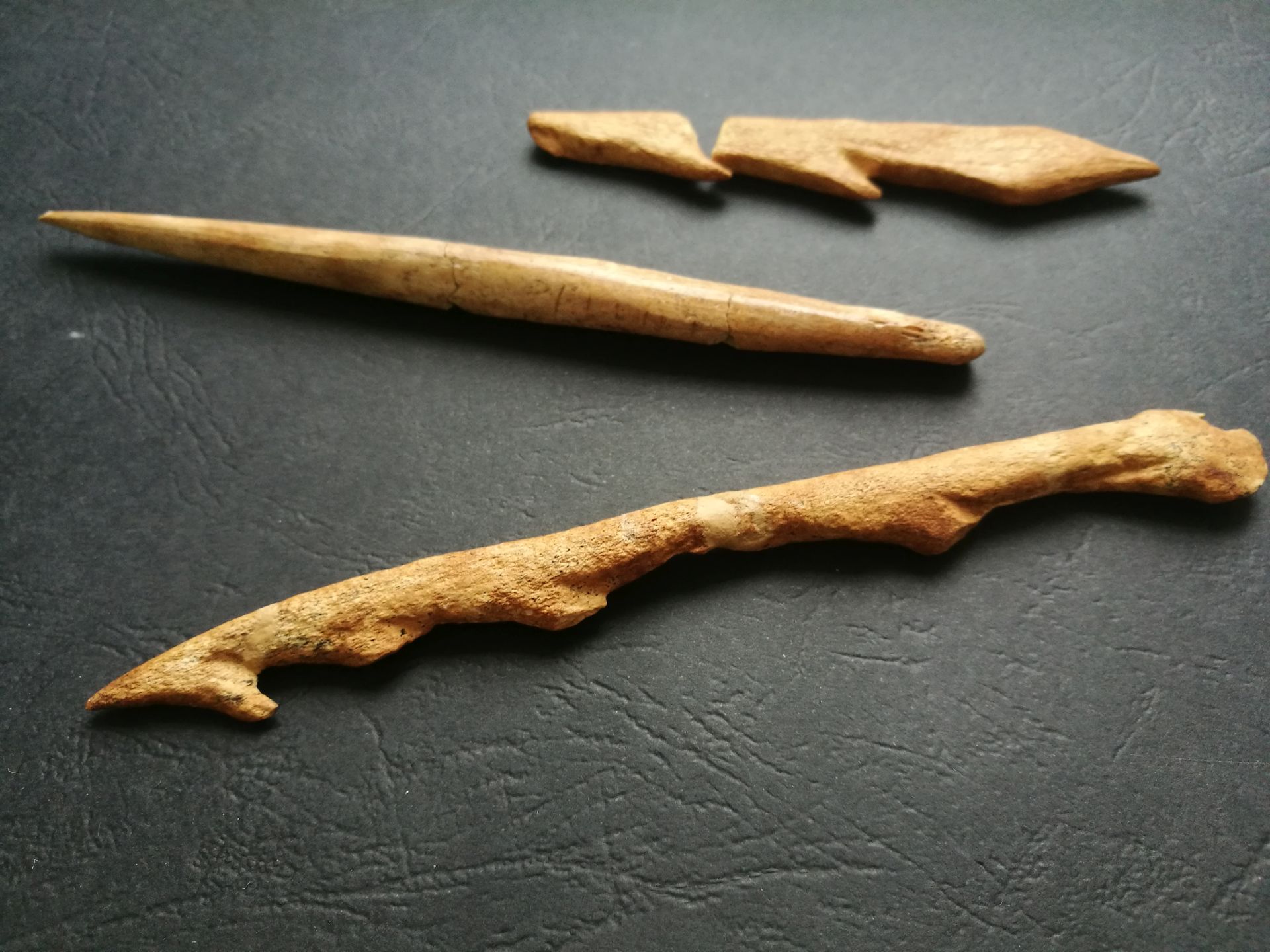 Paleolitička Venera pronađena u pećini Vlakno na Dugom otoku Paleolitička Venera pronađena u pećini Vlakno na Dugom otoku