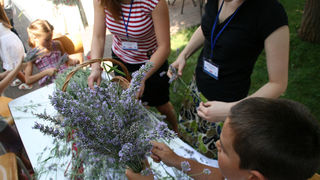 GKZD: Dječja radionica izrade stručaka i jastučića od lavande, Foto: Lucija Juravić