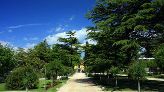 Đir po Boriku, 4. svibnja 2008.