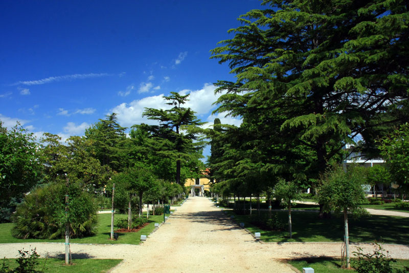 Đir po Boriku, 4. svibnja 2008.