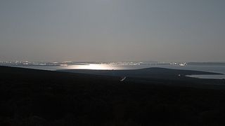 Image 1208355 (auto)