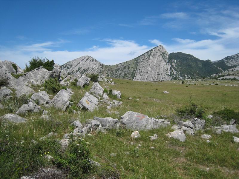 Image 1177355 (auto)