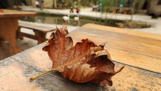 Jesenske boje i ljepote Nacionalnog parka Slapovi Krke oduševljavaju i dalje mnogobrojne turiste iz cijeloga svijeta. Photo: Hrvoje Jelavic/PIXSELL Jesenske boje i ljepote Nacionalnog parka Slapovi Krke oduševljavaju i dalje mnogobrojne turiste iz cijeloga svijeta. Photo: Hrvoje Jelavic/PIXSELL