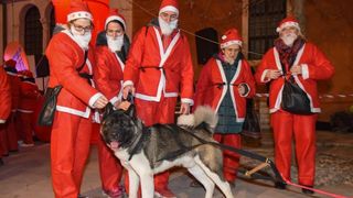 Utrka Djedova Božićnjaka zadarskim Poluotokom