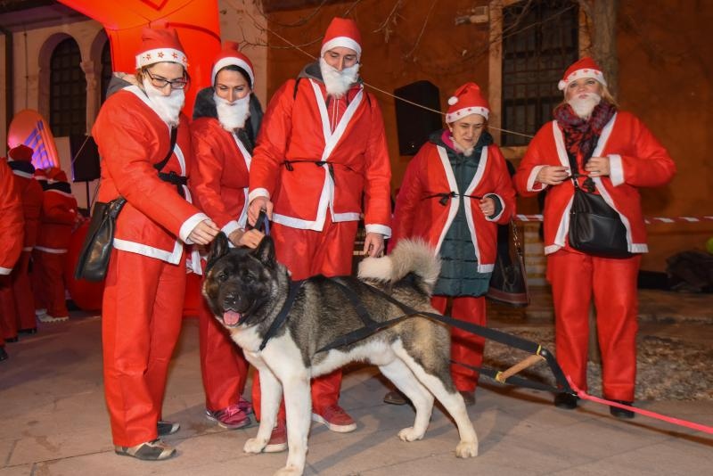 Utrka Djedova Božićnjaka zadarskim Poluotokom
